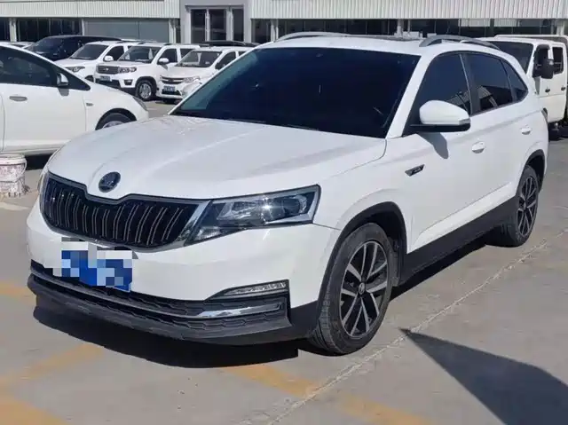 Škoda Kermick 2023 — купить из Китая под заказ