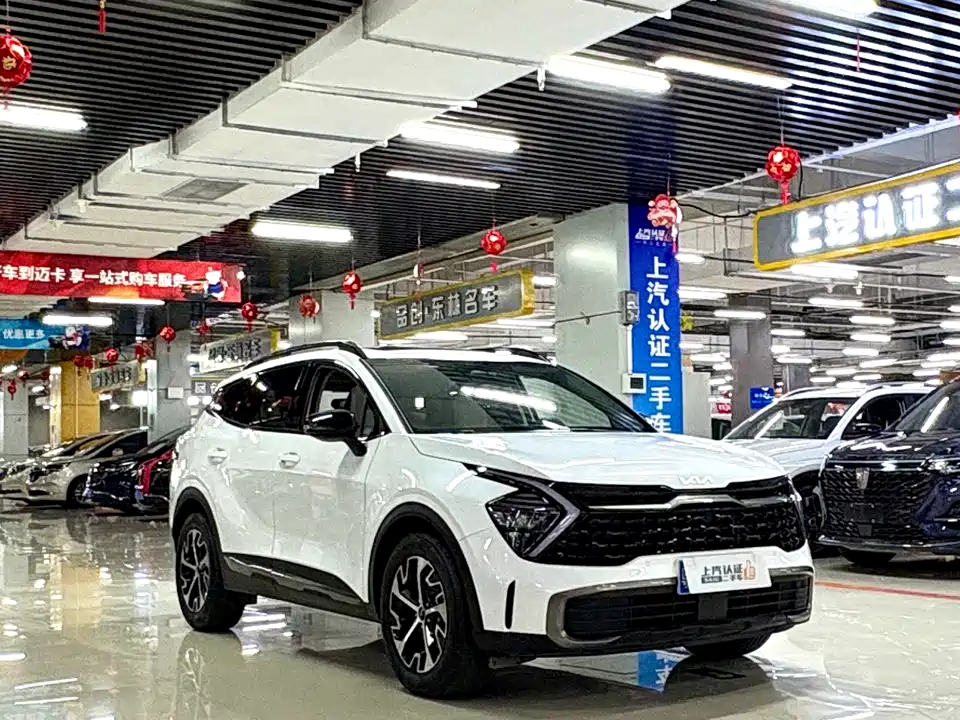 Kia Lion Platinum expands the world