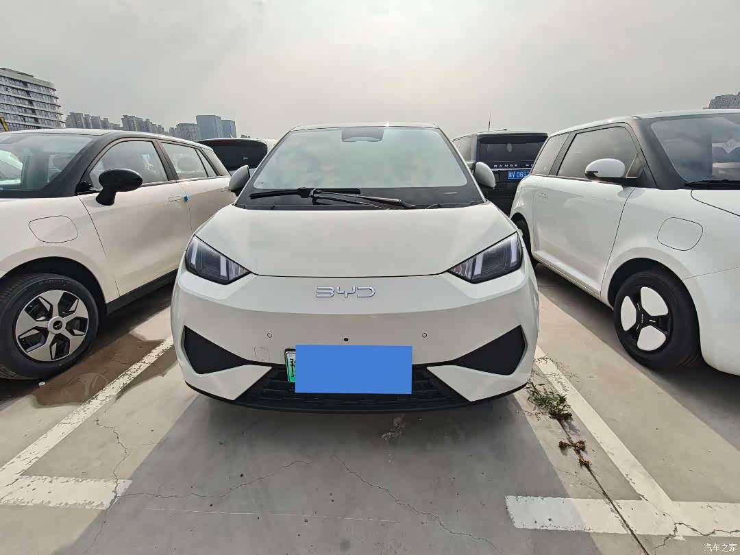 BYD Seagull, 2025 2