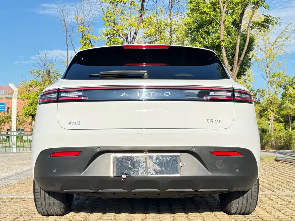 HarmonyOS Ask the world M5