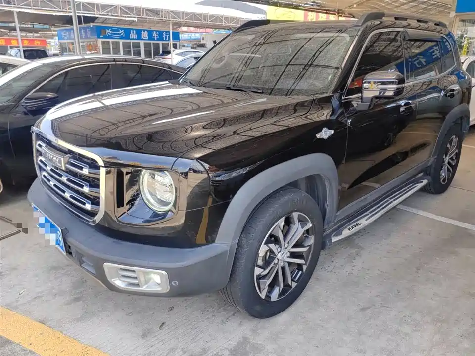Haval Big dog