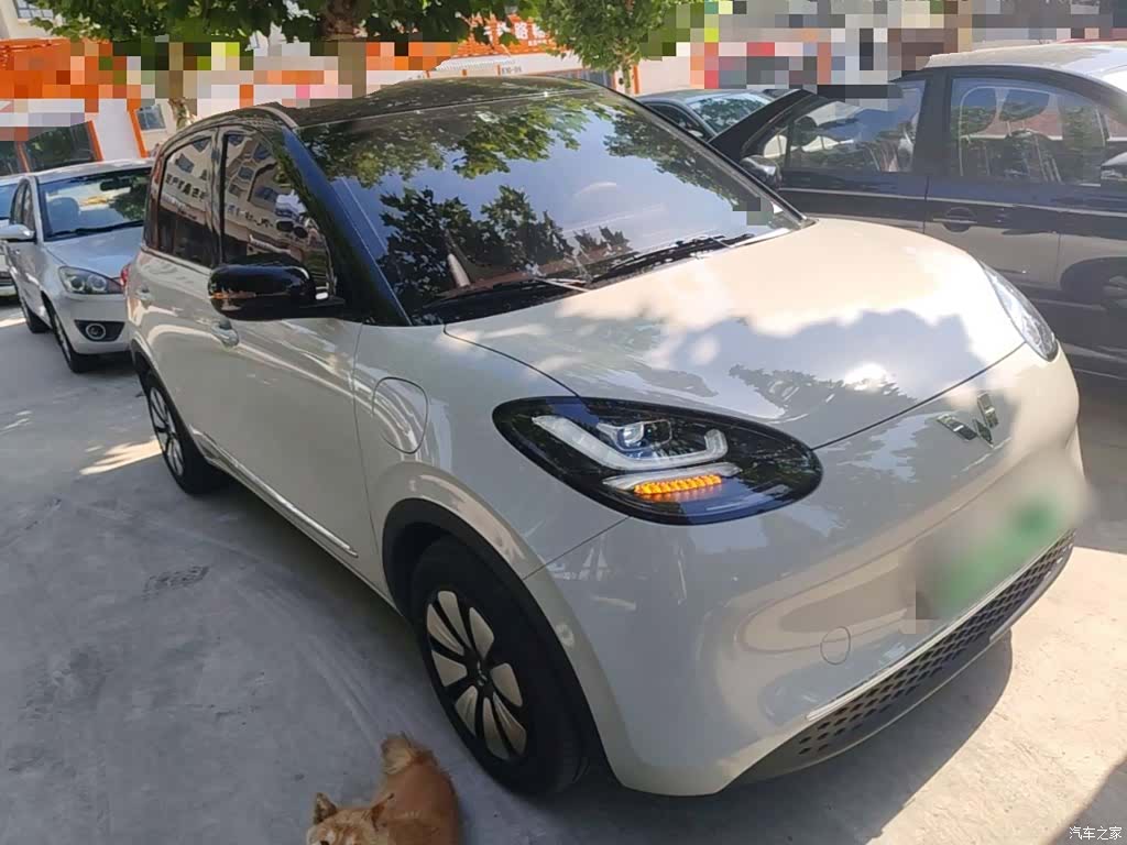 Wuling Bingo, 2024 4