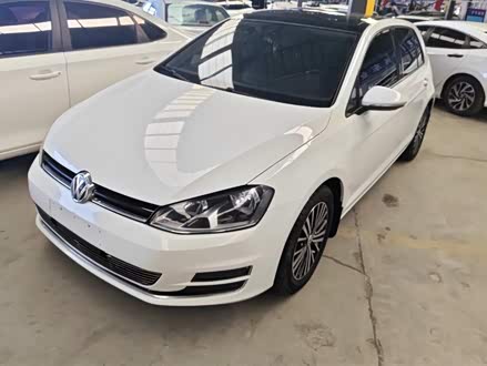 �½����ָ߶��� 2014�� 1.4TSI �Զ�������