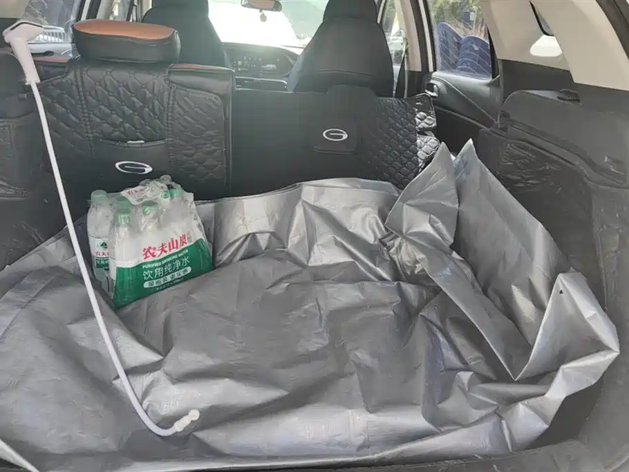 Trumpchi Trumpchi GS4