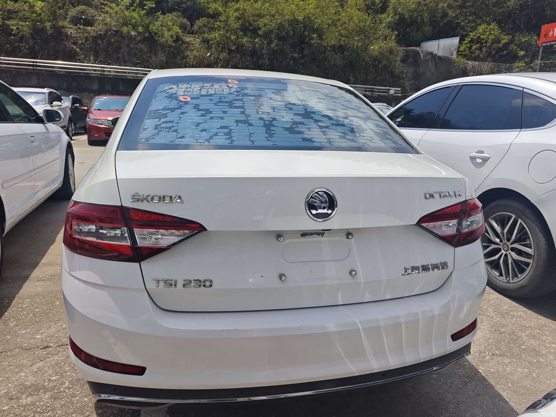Skoda Octavia, 2017 8