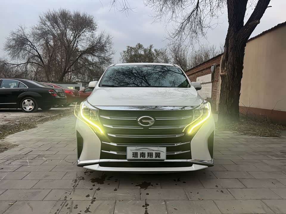 Trumpchi Trumpchi M8