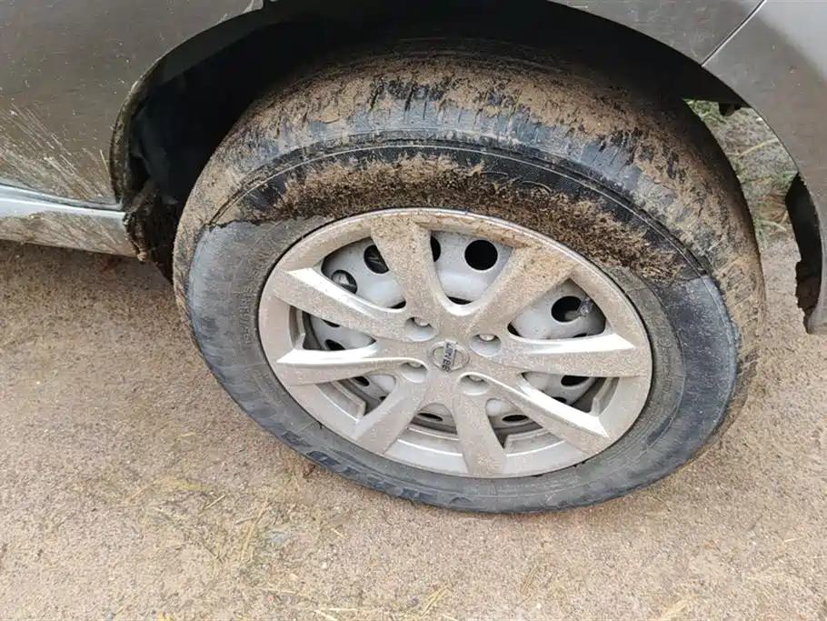 Jinbei New Sea Lion S