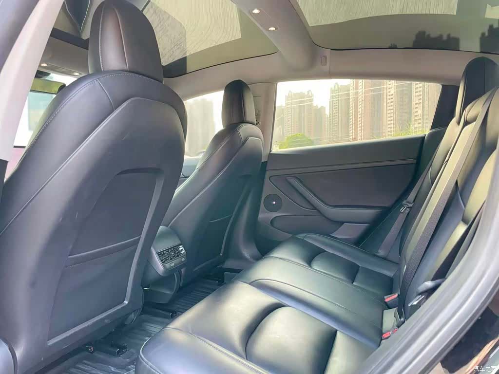 Tesla Model 3, 2021 6