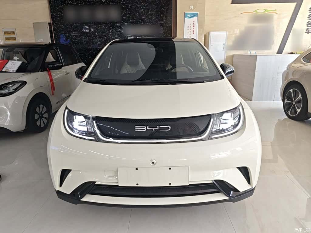 BYD Dolphin, 2023 3