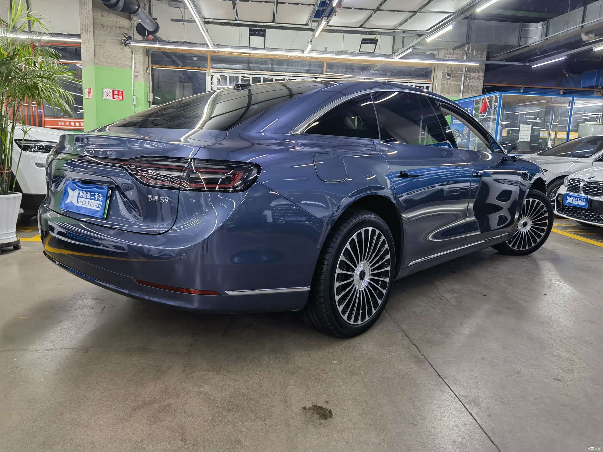 Stelato S9, 2025 4