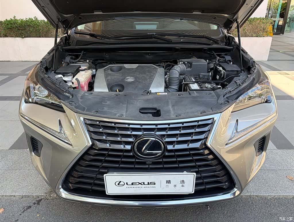 Lexus NX, 2021 6