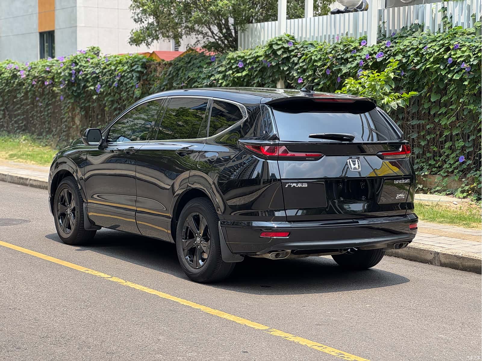 Honda Breeze, 2020 6