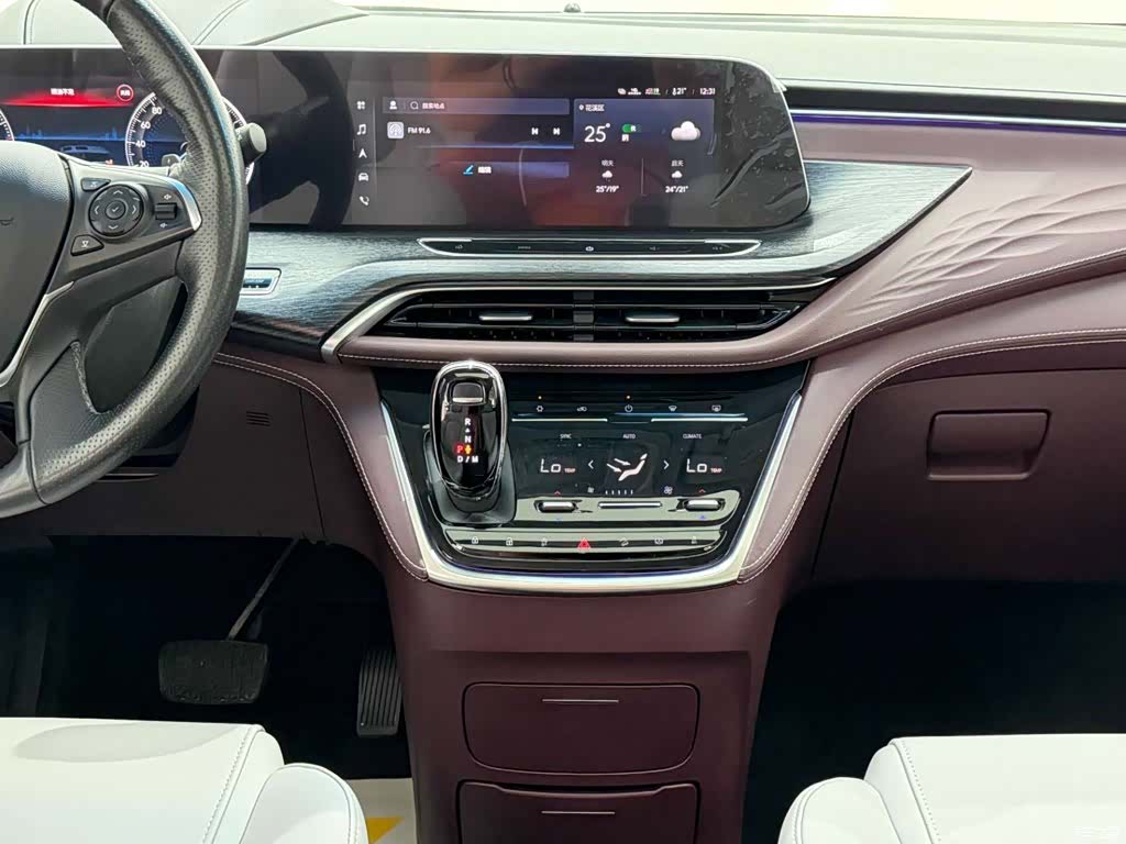 Buick GL8, 2022 26