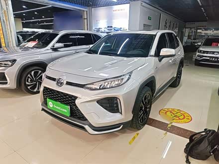 Toyota Weilanda New Energy 2021