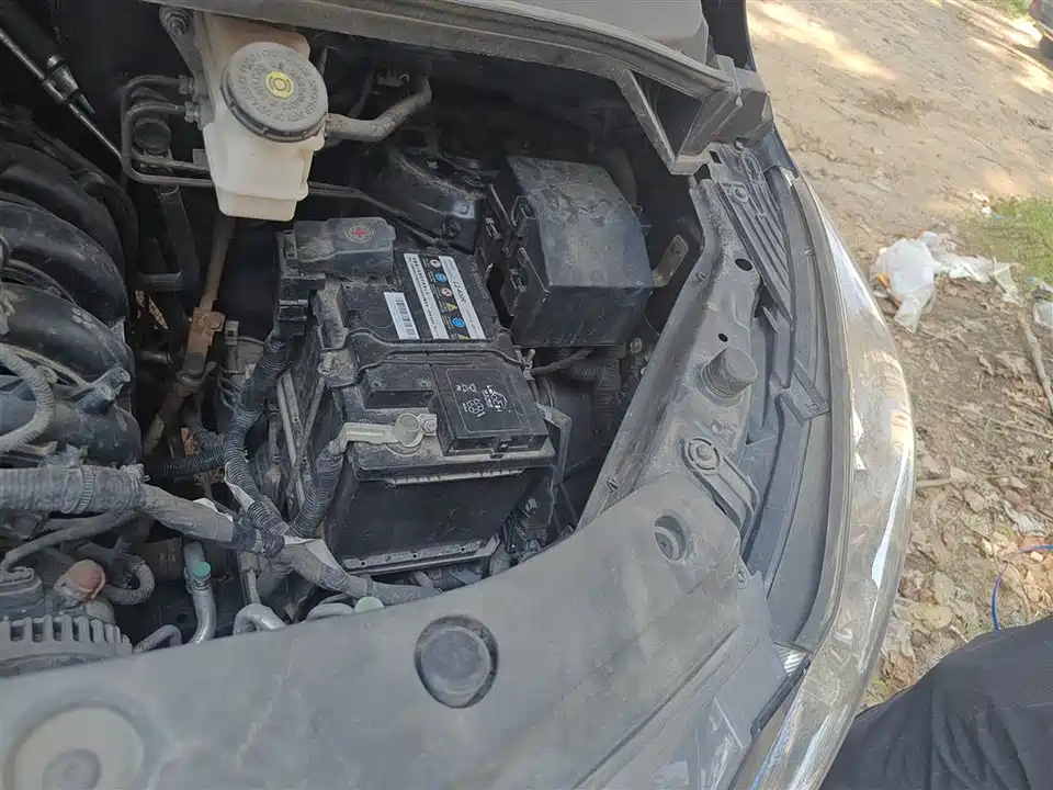 Forthing Lingzhi PLUS