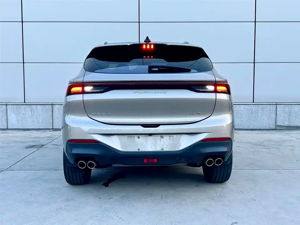 Forthing Popular T5 EVO