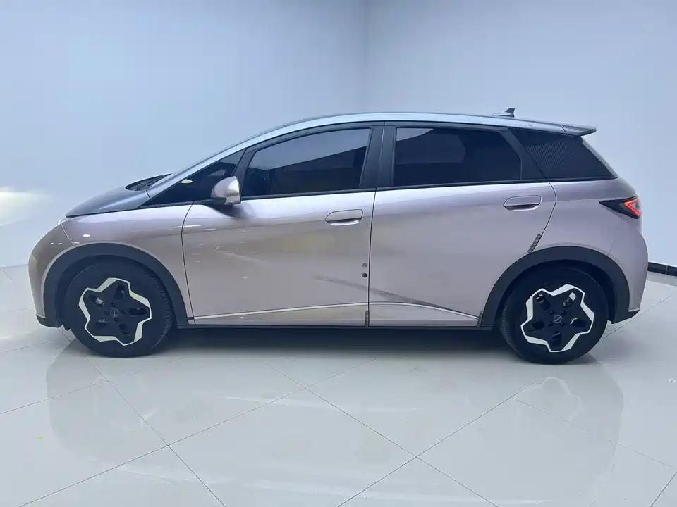 BYD dolphin BYD dolphin