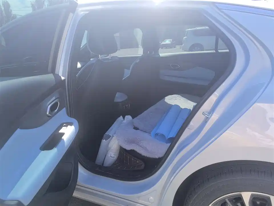 Trumpchi Shadow Leopard