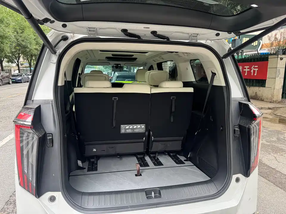 Trumpchi Trumpchi E9