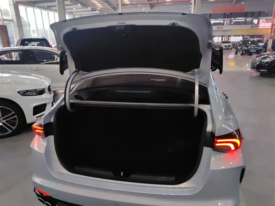 Trumpchi Shadow Leopard