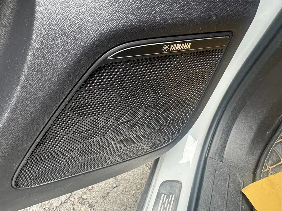 Trumpchi Trumpchi E9