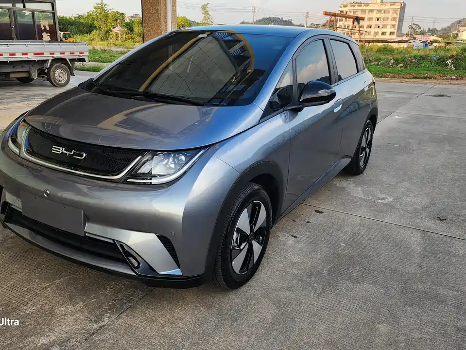 BYD dolphin