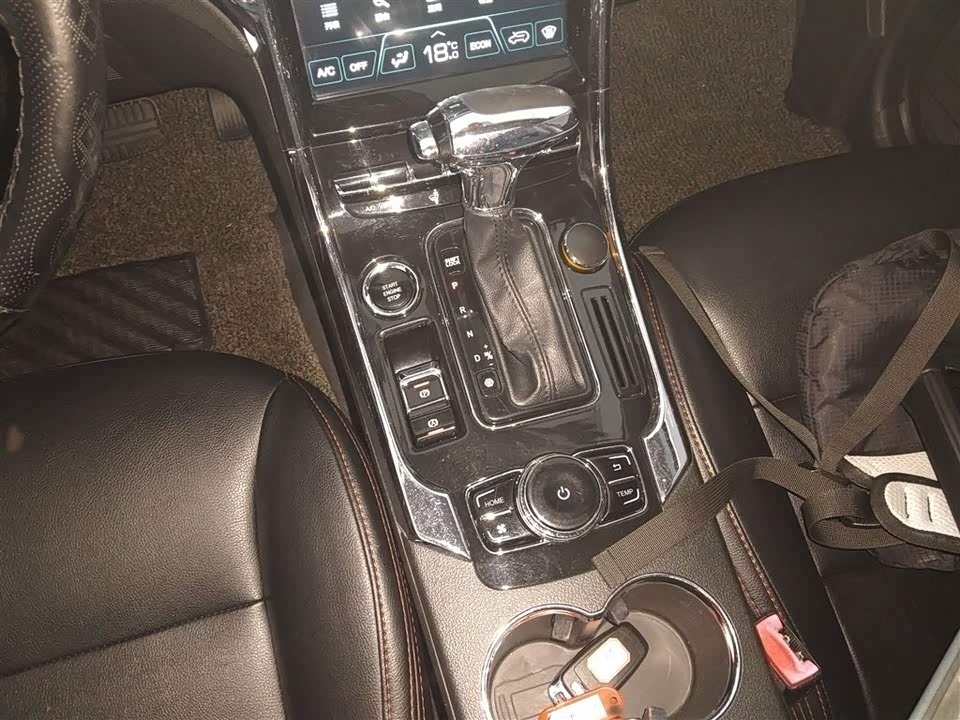 Leopaard Cheetah CS9