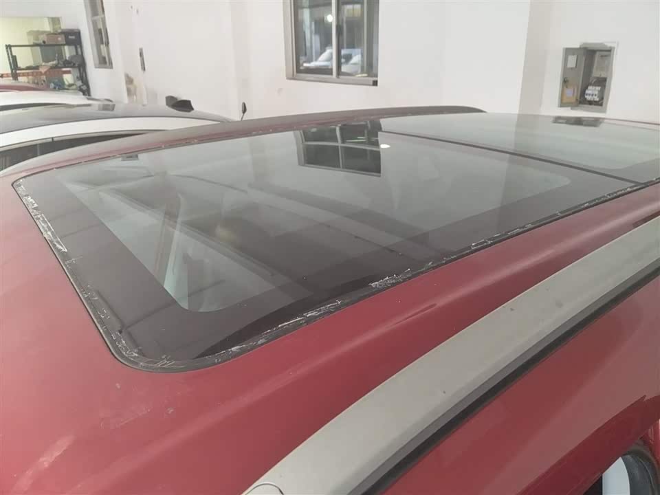 Leopaard Cheetah CS9