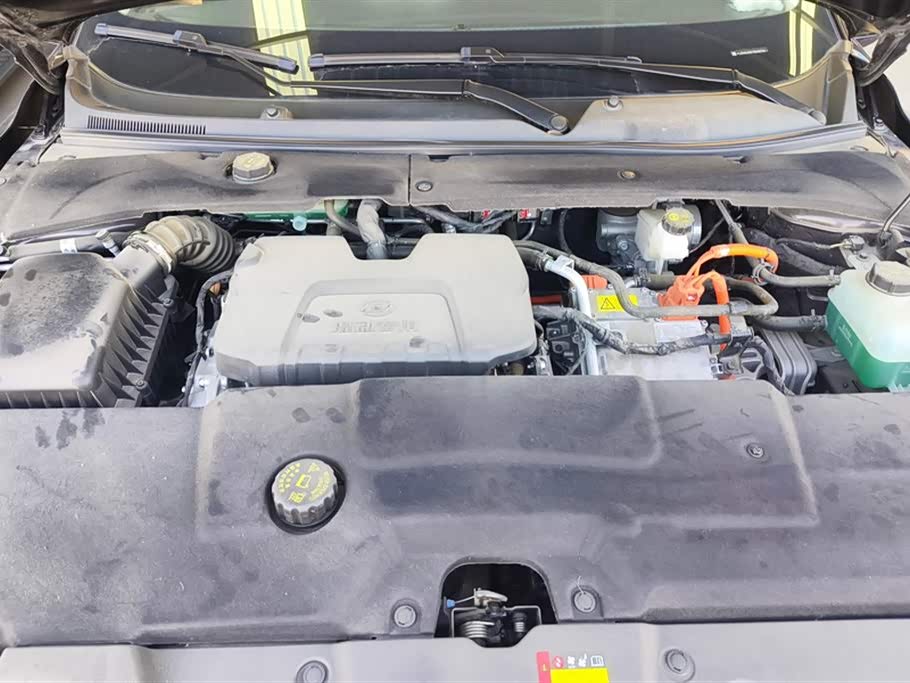 Wuling Wuling Starlight