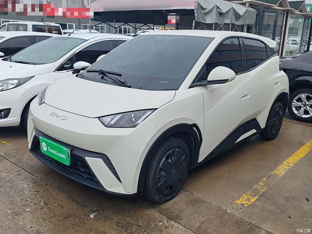 BYD Seagull, 2024 1