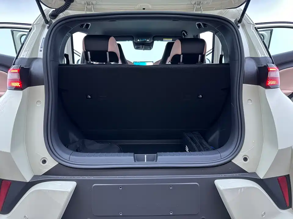 BYD Seagull