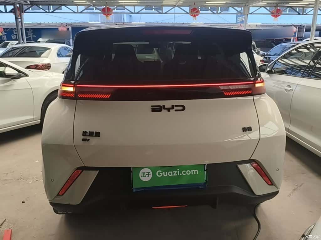 BYD Seagull, 2024 6