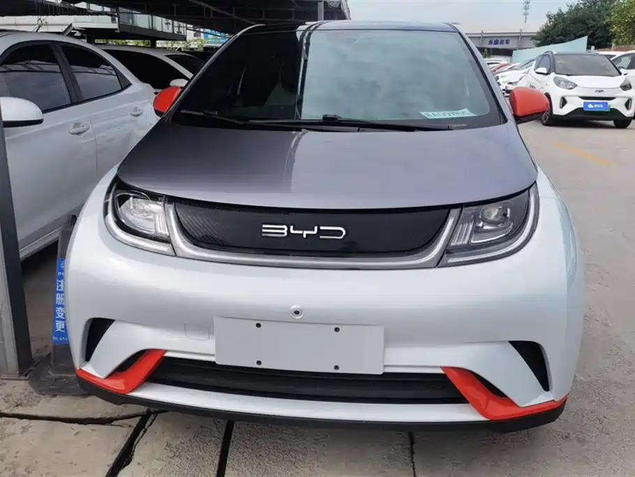 BYD dolphin