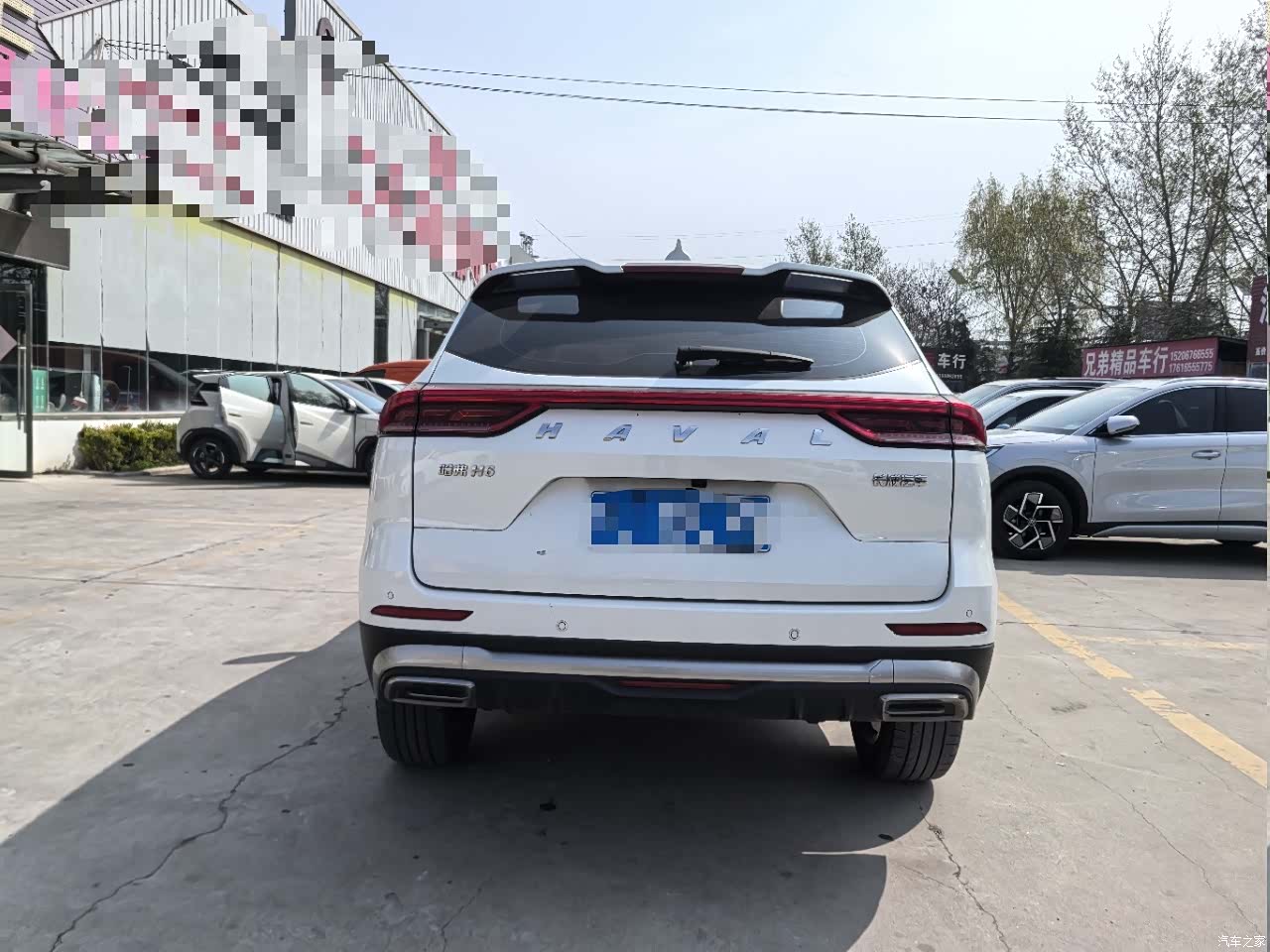 Haval H6, 2023 все фото