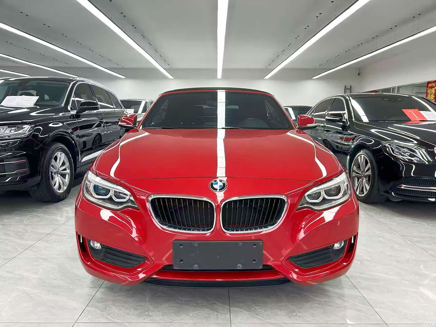 BMW 2 Series, 2017 8