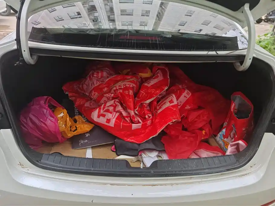 Hyundai Name picture