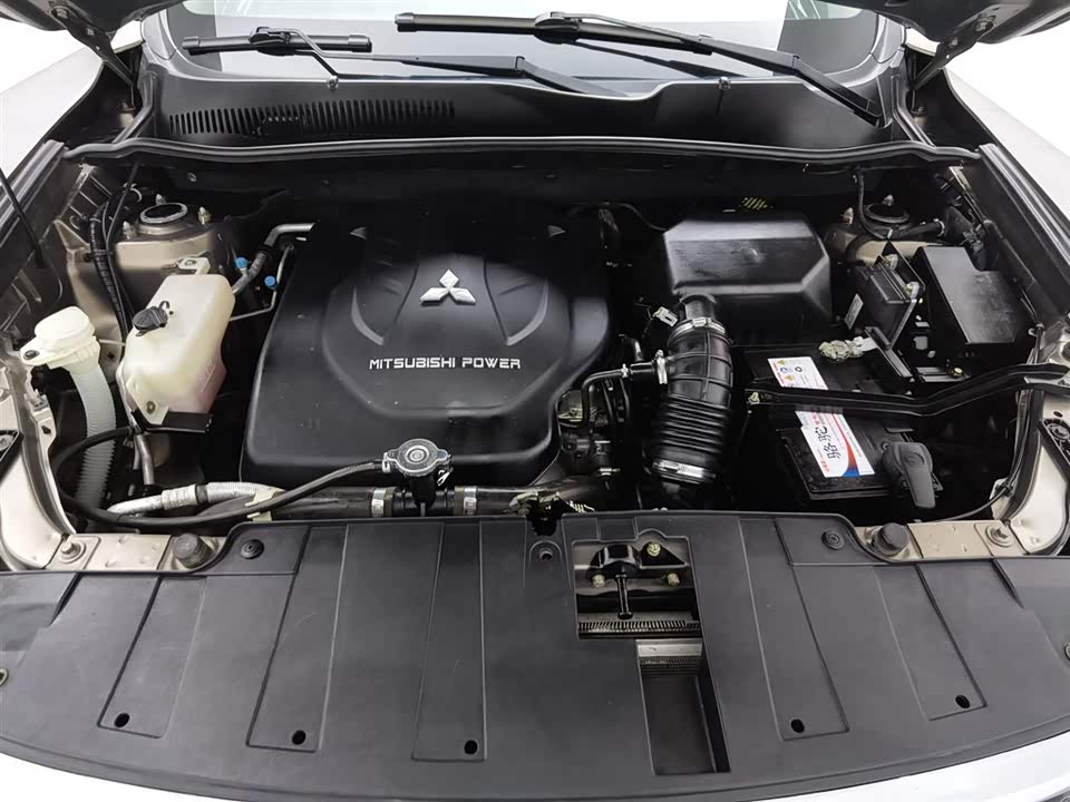 Leopaard Cheetah CS10