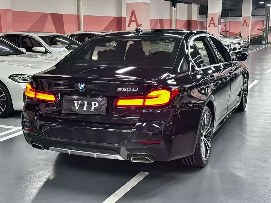 BMW 5 Series 2021, фото 7