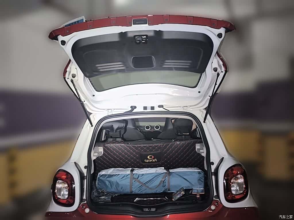 Smart Forfour, 2017 10