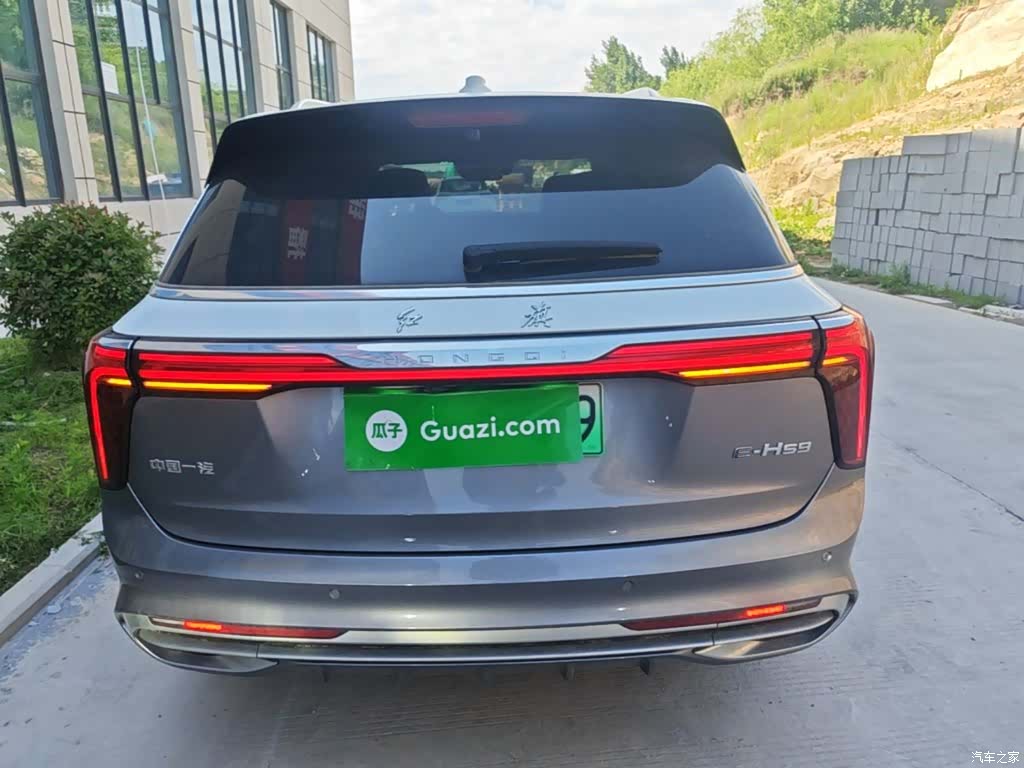 Hongqi E-HS9, 2023 6