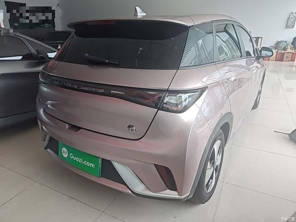 BYD Dolphin, 2023 7