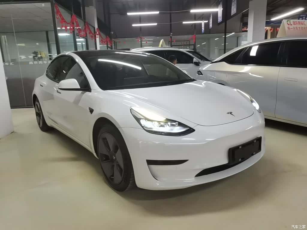 Tesla Model 3, 2021 4