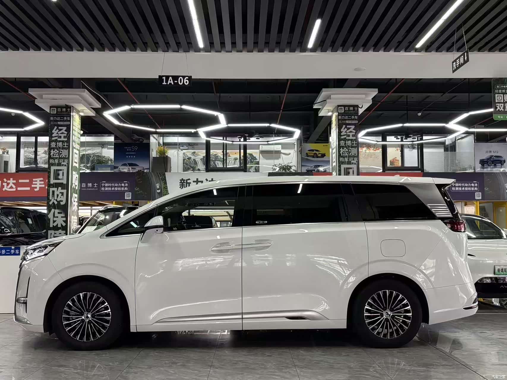 Denza D9, 2023 4