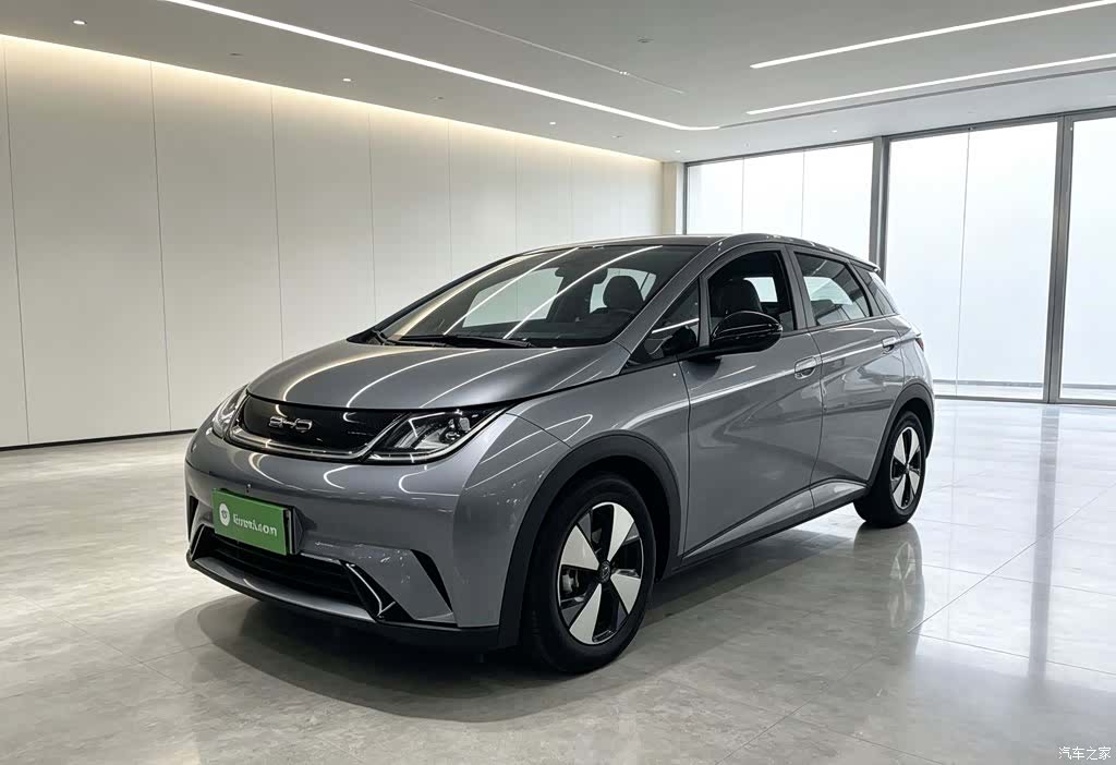 BYD Dolphin, 2024 1