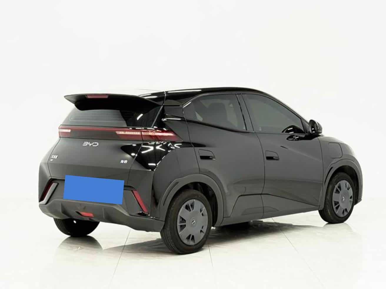 BYD Seagull, 2024 4