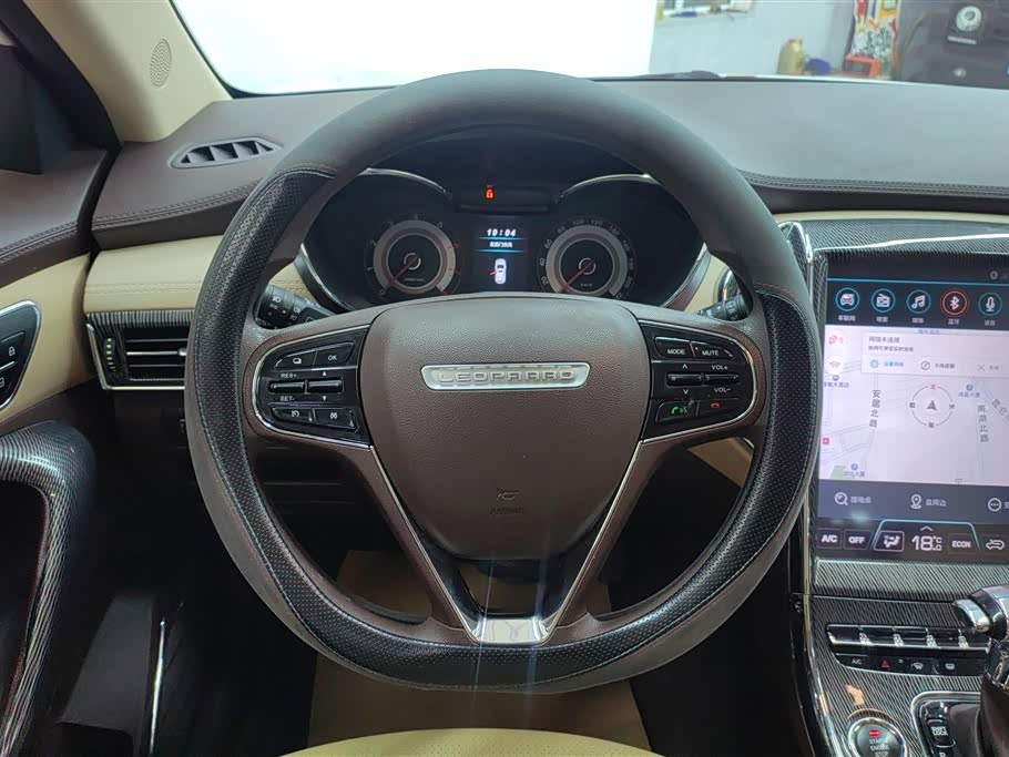 Leopaard Cheetah CS9