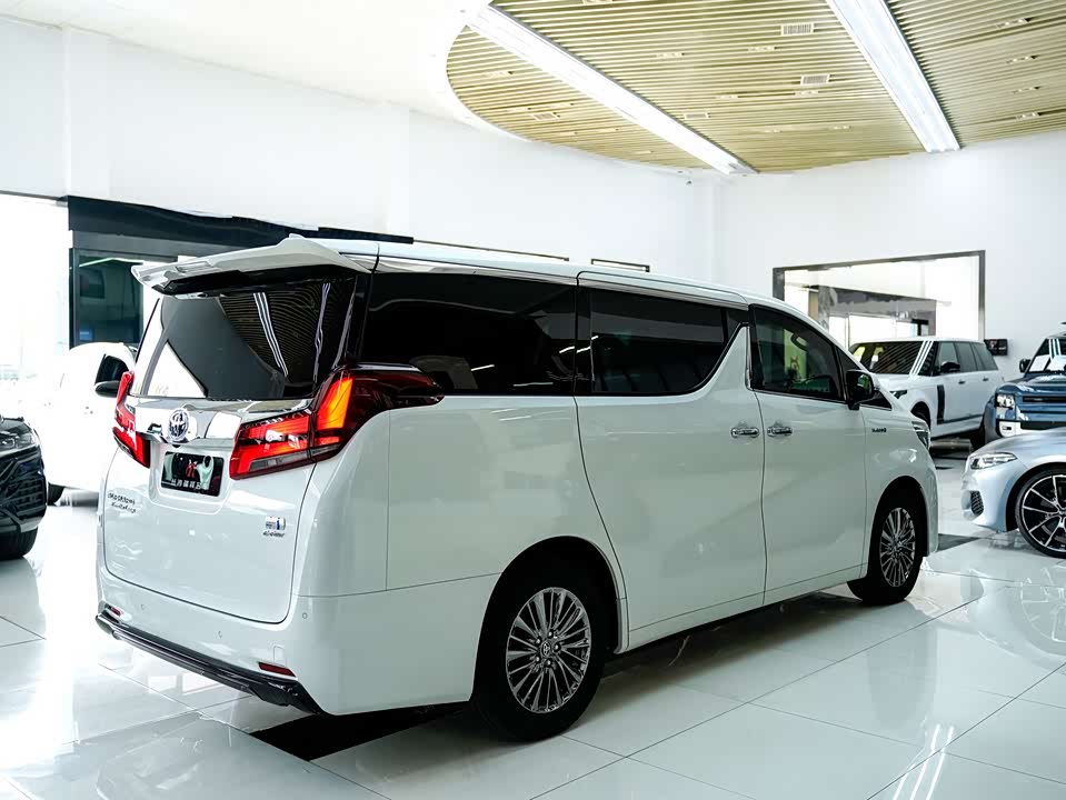 Toyota Elfa