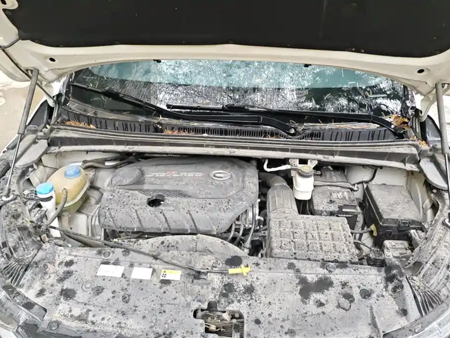 Trumpchi Trumpchi M6