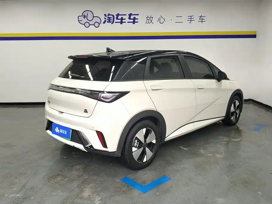 BYD dolphin BYD dolphin
