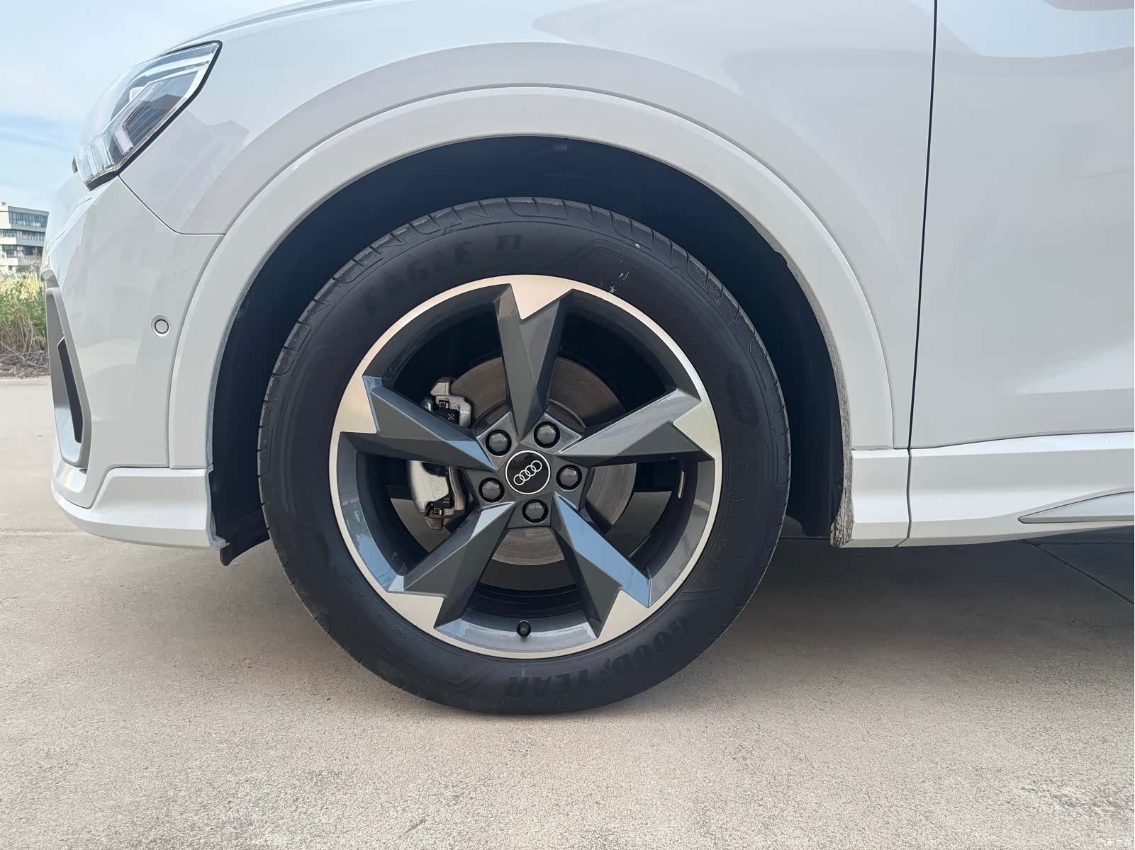 Audi Q3, 2023 все фото
